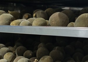 坚持每年烘焙橘红 亲自把关 产地厂家