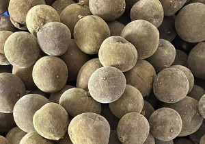 化宝堂：化州橘红哪个村最正宗？